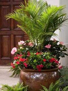 a planter filled with lots of flowers next to a door