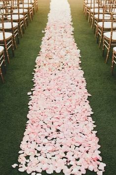 rows of chairs are lined up with petals on the grass and in between them is an aisle