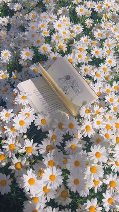 an open book sitting on top of a field of daisies