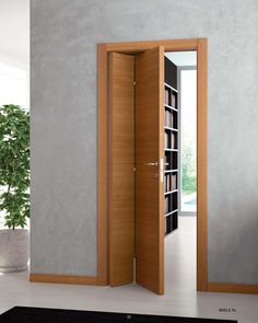 an open door with bookshelves in the middle and a plant on the other side