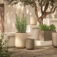 three planters with plants in them sitting on the ground next to some concrete steps