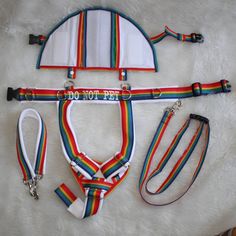 the harness and leashes are all different colors