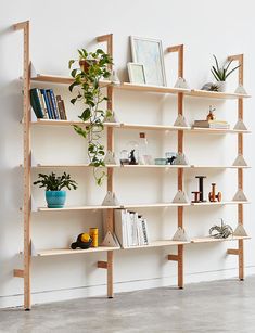 a wooden shelf filled with lots of books and potted plants next to a white wall