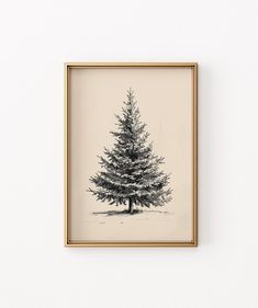 a black and white drawing of a pine tree in a frame hanging on the wall