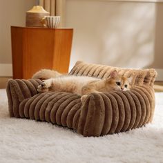 two kittens laying on top of a couch in the middle of a living room