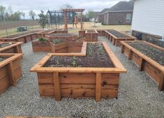 several wooden raised garden beds with plants growing in them and on the ground next to each other