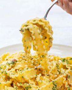 a person is holding a fork full of macaroni and cheese