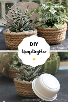 two baskets with plants in them and the words diy upcycle