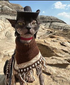 a cat wearing a hat and scarf on top of a rocky hill with mountains in the background