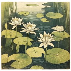 water lilies and lily pads in a pond