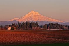 a large snow covered mountain in the distance with trees and farm land around it at sunset