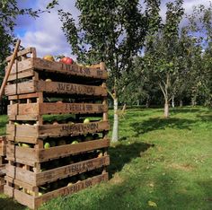 a wooden crate filled with apples sitting on top of a green grass covered field next to trees