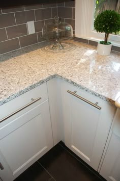 the corner of a kitchen counter with a potted plant on it's side