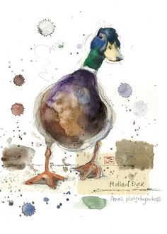 a watercolor painting of a mallard duck standing in front of paint splatters