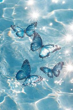 three blue butterflies floating in the water