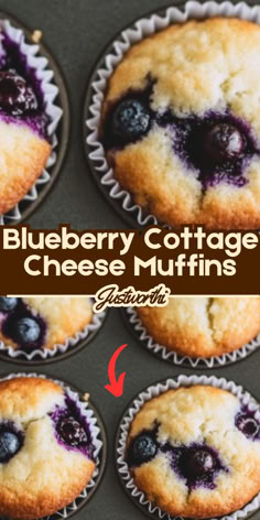 blueberry cottage cheese muffins are shown in the bottom row and on the bottom row