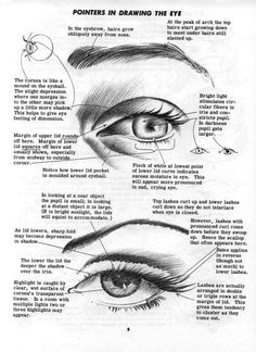 an instruction manual for drawing the eye