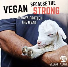 a man holding a baby goat with the caption vegan because the strong arms protect the weak