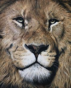 a painting of a lion's face with green eyes