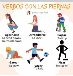 the spanish version of verbos con las pienas is an easy way to learn how to