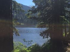 a lake surrounded by trees in the woods