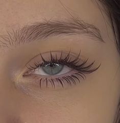 Simple False Lashes, Lashes For Round Eyes, Manhwa Lashes, Natural Fake Eyelashes, Cute Lashes, Perfect Eyelashes, Pretty Lashes, Eyelash Extentions, Swag Makeup