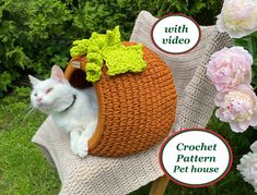 a white cat sitting on top of a chair with a crochet pattern in the shape of a carrot