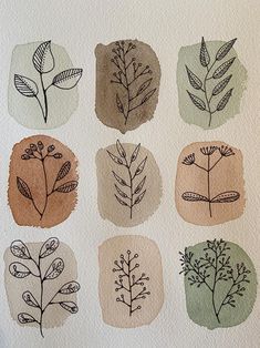 nine different types of leaves drawn on watercolor paper