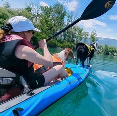 a woman in a kayak with two dogs