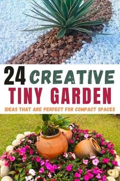 some plants and rocks in the grass with text that reads, 24 creative tiny garden ideas that are perfect for compact spaces