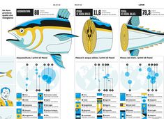 an info sheet showing different types of fish