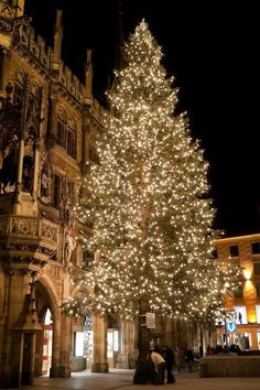 a large christmas tree is lit up in front of a building