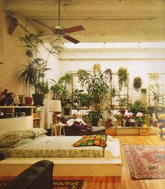 a living room filled with furniture and lots of plants