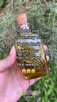 Rosemary Uses Diy, Coconut Oil And Rosemary Oil Hair Growth, Herbs To Grow Hair, Diy Rosemary Oil For Hair Growth, Rosemary Water For Hair Growth Results, How To Use Rosemary Oil For Hair Growth, Hair Oils For Growth, Make Rosemary Oil, Rosemary For Hair