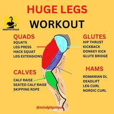 a diagram showing the different types of legs and how they are used to work out