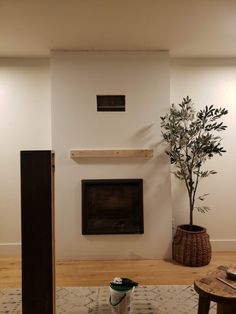 a living room with a potted plant on the coffee table and a fireplace in the background