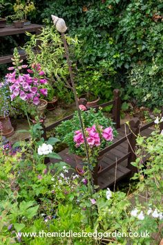 a garden filled with lots of different types of flowers