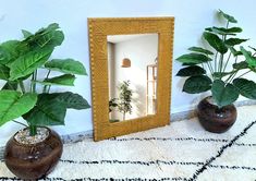 three potted plants sit in front of a mirror on the floor next to two planters