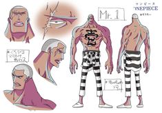 the character model sheet for one piece