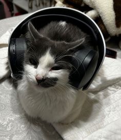 a black and white cat wearing headphones on top of a bed