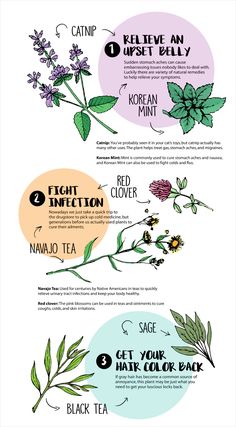 the different types of flowers and their names