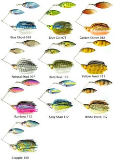 the different types of fish are shown in this chart