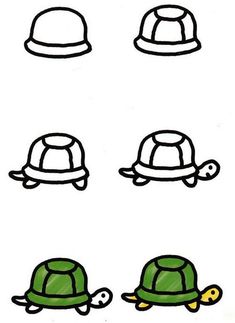 four different types of turtles with hats on them