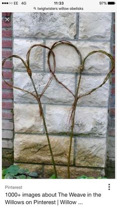 two heart shaped plants in front of a brick wall