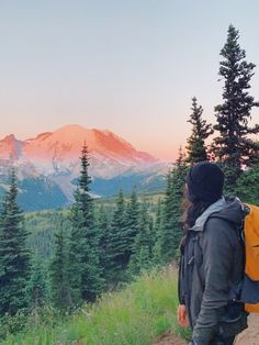 a person with a backpack standing on a trail looking at the mountains and pine trees