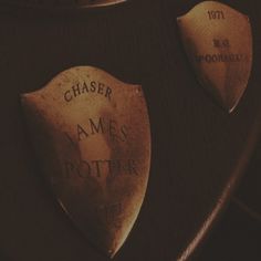 two harry potter crests are shown on a wooden table with the words chaser and james potter written on them