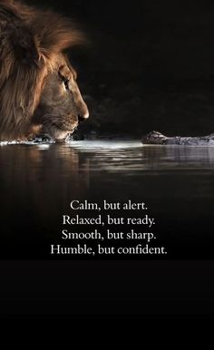 a lion drinking water from a lake with a quote written on the side that reads calm, but alert, relaxed, but ready