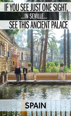 two people standing in front of a pond with palm trees and the caption if you see just one sight, in seville see this ancient palace