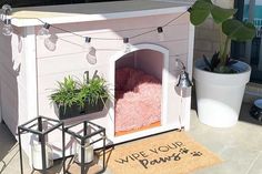 a dog house that has a plant in it