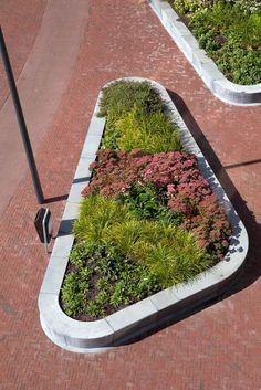 two planters with plants growing in them on the side of a brick road next to a street light